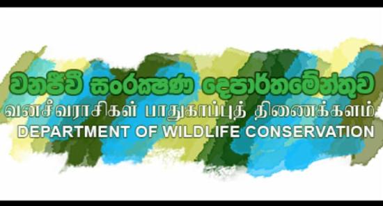 වනජිවි දෙපාර්තමේන්තුවේ නිලධාරීන් 4530ක් ස්ථිර කරයි